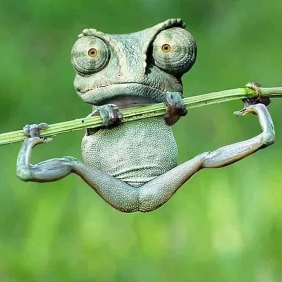 💫 - Picture 6 of 16